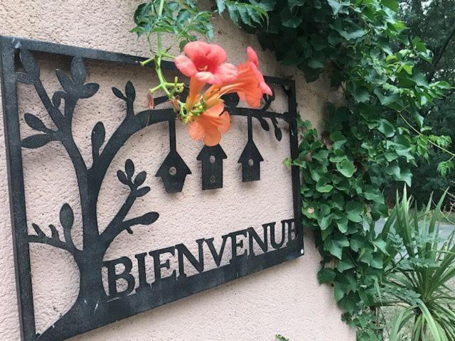 B&B Les Muscades Saint-Étienne-du-Grès Kültér fotó