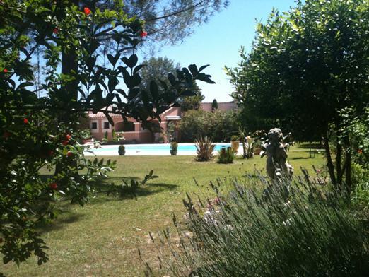 B&B Les Muscades Saint-Étienne-du-Grès Szoba fotó
