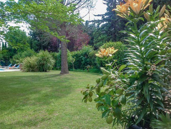 B&B Les Muscades Saint-Étienne-du-Grès Kültér fotó