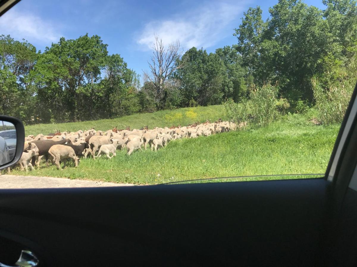 B&B Les Muscades Saint-Étienne-du-Grès Kültér fotó